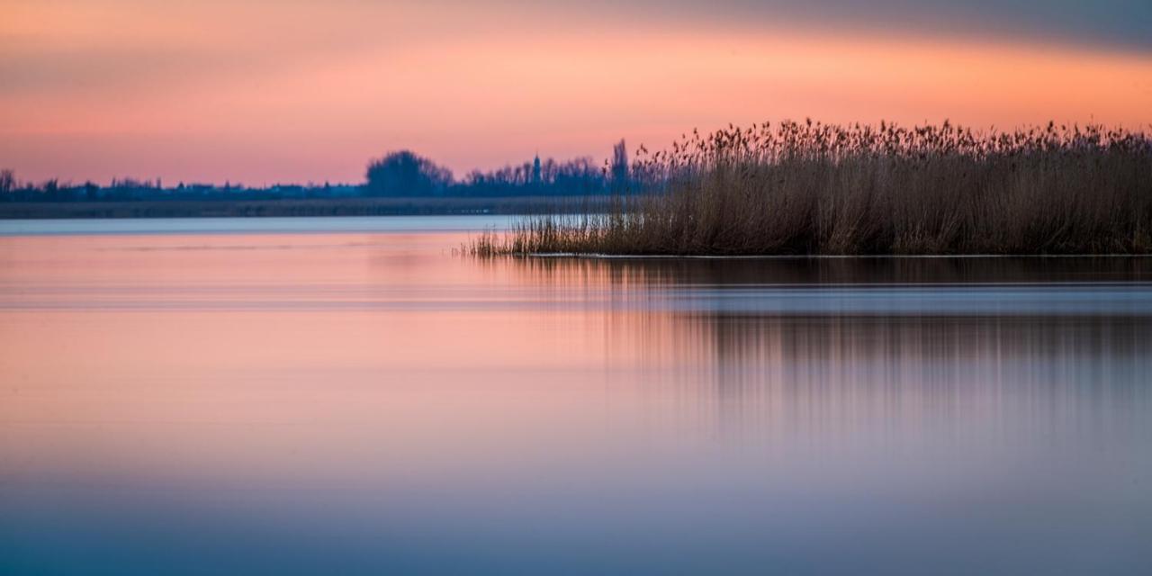 Gut Zentgraf Otel Mörbisch am See Dış mekan fotoğraf